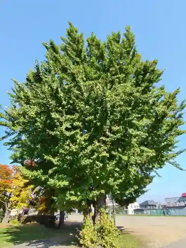 厚別神社(北海道)