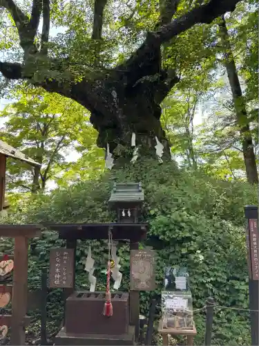 熊野皇大神社(長野県)
