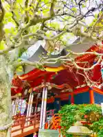 布施弁天 東海寺の本殿・本堂