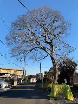 仙元神社(千葉県)