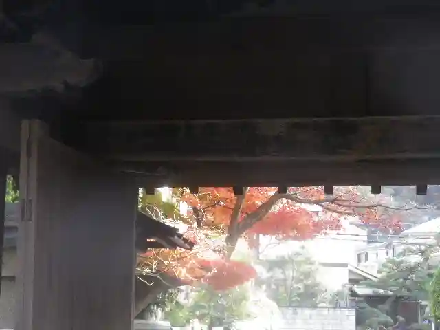 浄光明寺の山門・神門