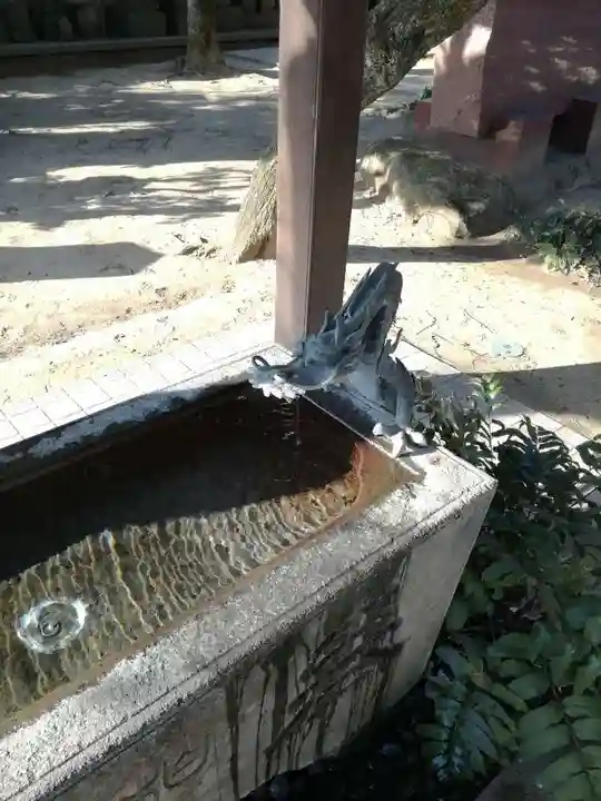 柏諏訪神社の手水舎