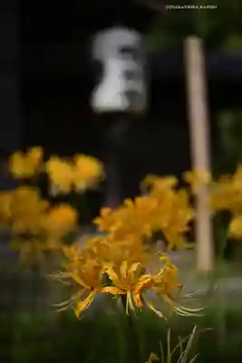 横浜　西方寺(神奈川県)