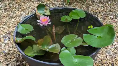勝林寺(京都府)