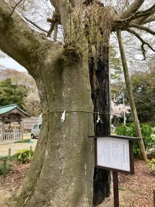 羽咋神社の{uncategorized: "未分類", other: "その他", undefined: "問題あり", building: "その他建物", grave: "お墓", sacred_gate: "鳥居", guardian: "狛犬", statue: "像", buddha: "仏像", history: "歴史", nature: "自然", garden: "庭園", animal: "動物", pagoda: "塔", temizu: "手水舎", mountain_gate: "山門・神門", sanctuary: "本殿・本堂", subordinate: "末社・摂社", art: "芸術", scenery: "景色", jizo: "地蔵", ema: "絵馬", goshuin: "御朱印", omikuji: "おみくじ", items: "授与品その他", amulet: "お守り", goshuincho: "御朱印帳", eats: "食事", festival: "お祭り", votive_dance: "神楽", shichigosan: "七五三参", wedding: "結婚式", experience: "体験その他", initially: "初詣", around: "周辺", anti_infection: "感染症対策"}