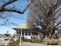 千葉寺の{uncategorized: "未分類", other: "その他", undefined: "問題あり", building: "その他建物", grave: "お墓", sacred_gate: "鳥居", guardian: "狛犬", statue: "像", buddha: "仏像", history: "歴史", nature: "自然", garden: "庭園", animal: "動物", pagoda: "塔", temizu: "手水舎", mountain_gate: "山門・神門", sanctuary: "本殿・本堂", subordinate: "末社・摂社", art: "芸術", scenery: "景色", jizo: "地蔵", ema: "絵馬", goshuin: "御朱印", omikuji: "おみくじ", items: "授与品その他", amulet: "お守り", goshuincho: "御朱印帳", eats: "食事", festival: "お祭り", votive_dance: "神楽", shichigosan: "七五三参", wedding: "結婚式", experience: "体験その他", initially: "初詣", around: "周辺", anti_infection: "感染症対策"}