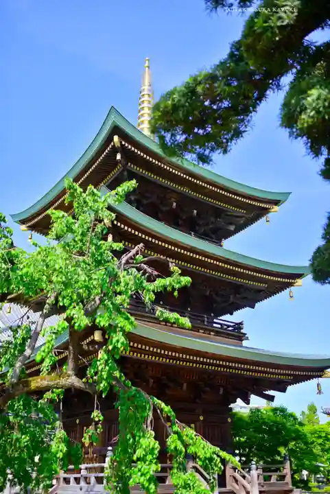 三学院(埼玉県)