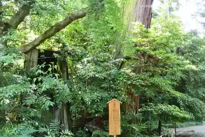 香取神宮(千葉県)