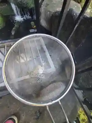 白蛇辨財天の体験その他