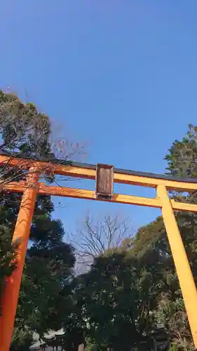 川越氷川神社の鳥居