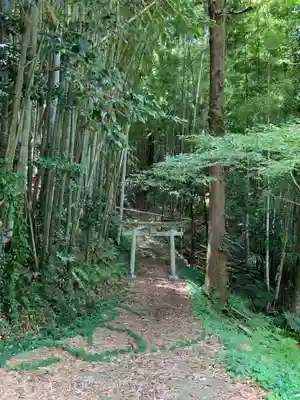 稲荷大明神の鳥居