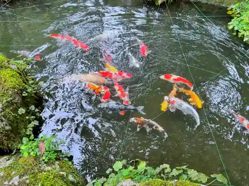 明通寺(福井県)