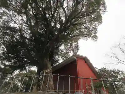 奥山稲荷社(和歌山県)