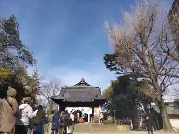 舎人氷川神社の本殿・本堂