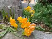 道祖神社の自然