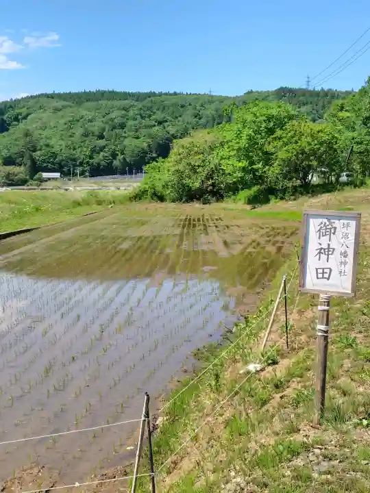 坪沼八幡神社(宮城県)