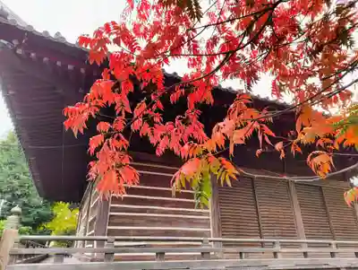 護国寺(東京都)
