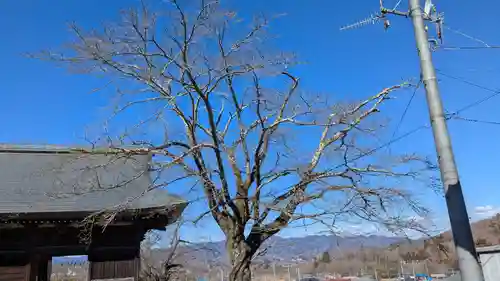 妙円寺(妙圓寺)の自然