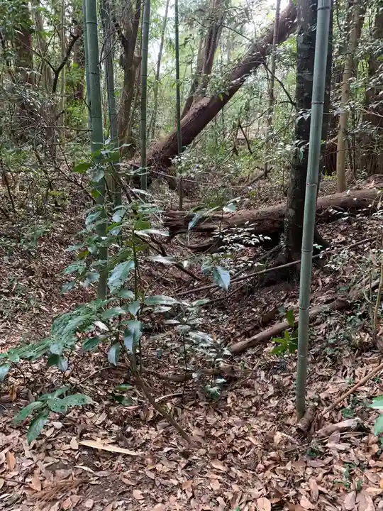 砂古瀬神社(千葉県)