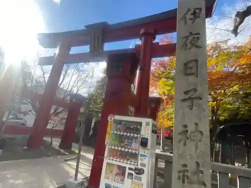 彌彦神社　(伊夜日子神社)の鳥居
