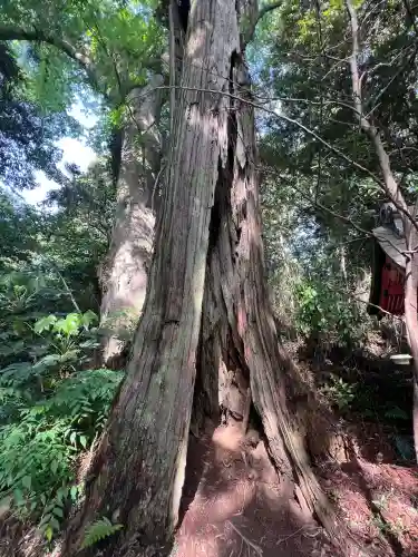 香取神宮(千葉県)