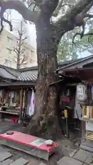 若一神社(京都府)