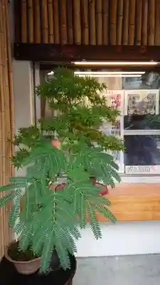 高円寺氷川神社のその他建物