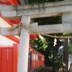 金神社の鳥居