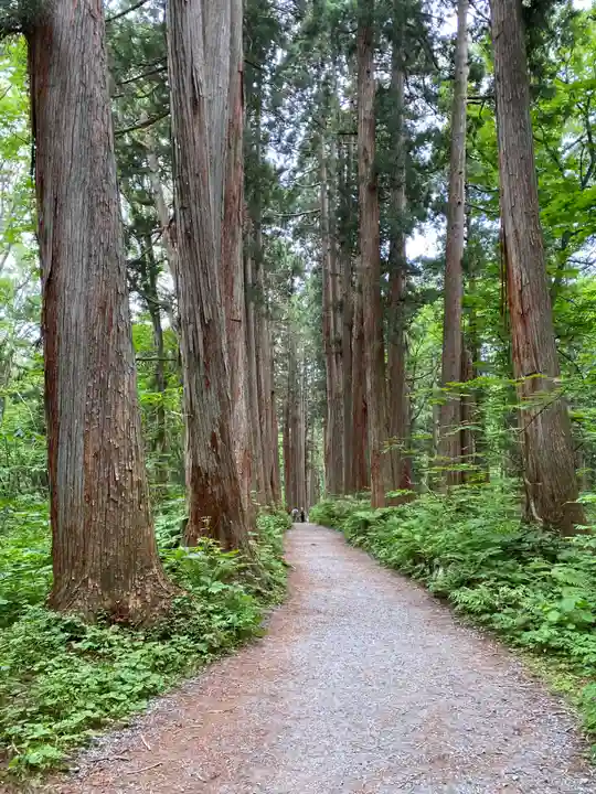 戸隠神社九頭龍社(長野県)
