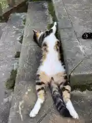 玉野御嶽神社の動物