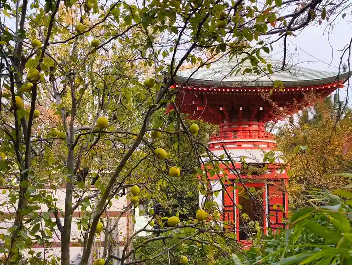 乗蓮寺(東京都)