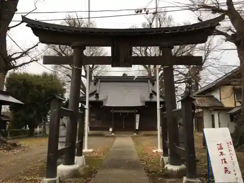 越智神社の鳥居