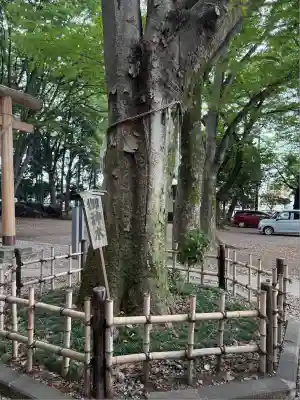 神明大神宮(神奈川県)