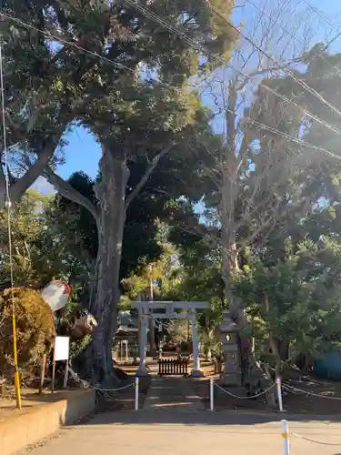 神明大神社の鳥居