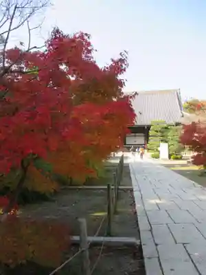 光明寺（粟生光明寺）のその他建物