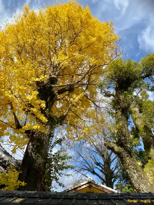 護王神社の自然