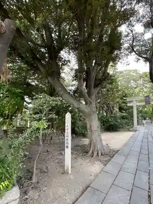 越ヶ谷久伊豆神社のその他建物