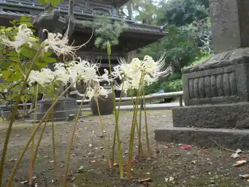 英勝寺の庭園