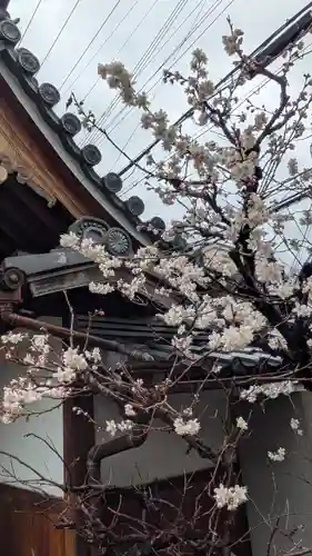 成道院(京都府)