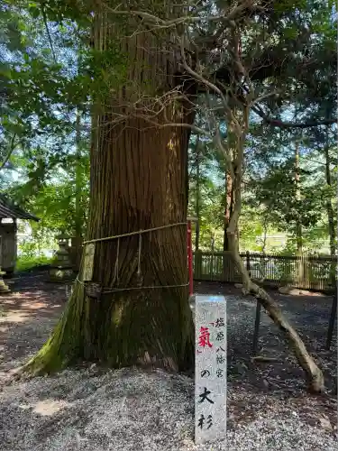 塩原八幡宮(栃木県)