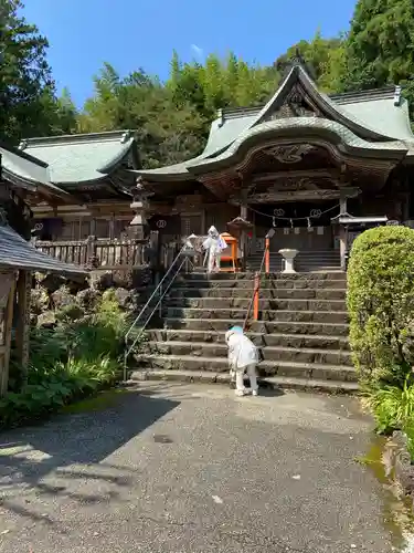 清滝寺の本殿