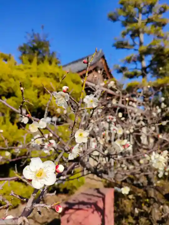 津島神社の自然