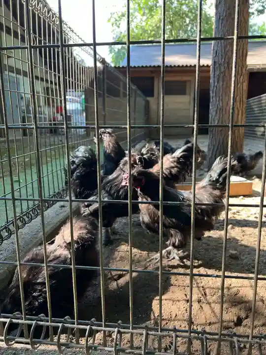身曾岐神社(山梨県)