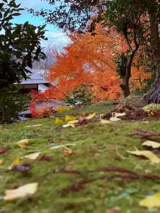 萬徳寺(福井県)