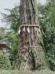 香取神宮の自然