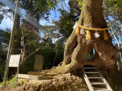 笠森寺(千葉県)