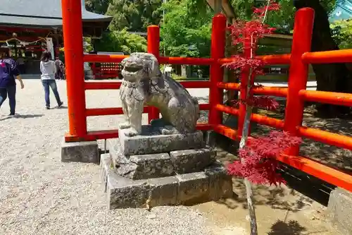 龍田大社の狛犬