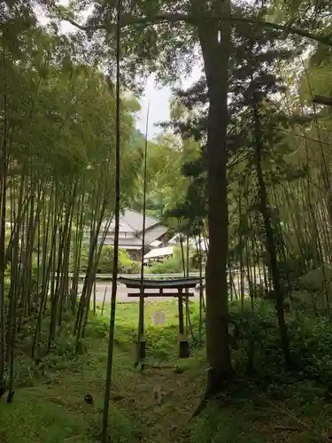 山神神社の鳥居