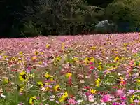 成身院 百体観音堂(さざえ堂)(埼玉県)