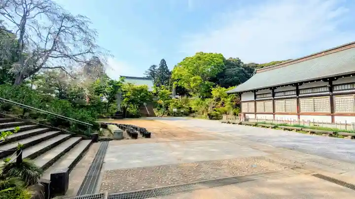 本土寺(千葉県)